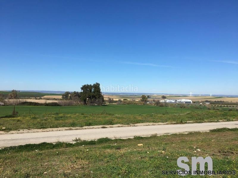 Foto 78852983-f37e-4a7c-b13a-fd40d80c35f2. Terreny residencial a Huévar