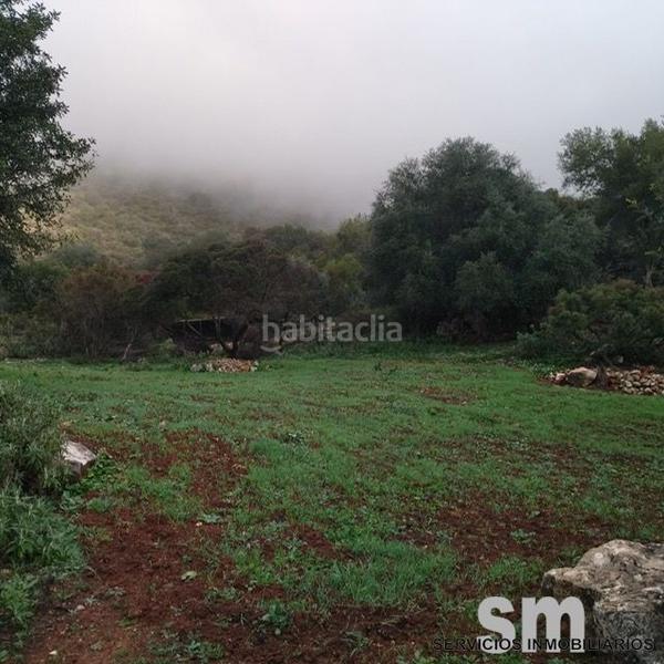 Foto 19d7f372-f913-4162-86bc-23be89815151. Landgut in Benaocaz