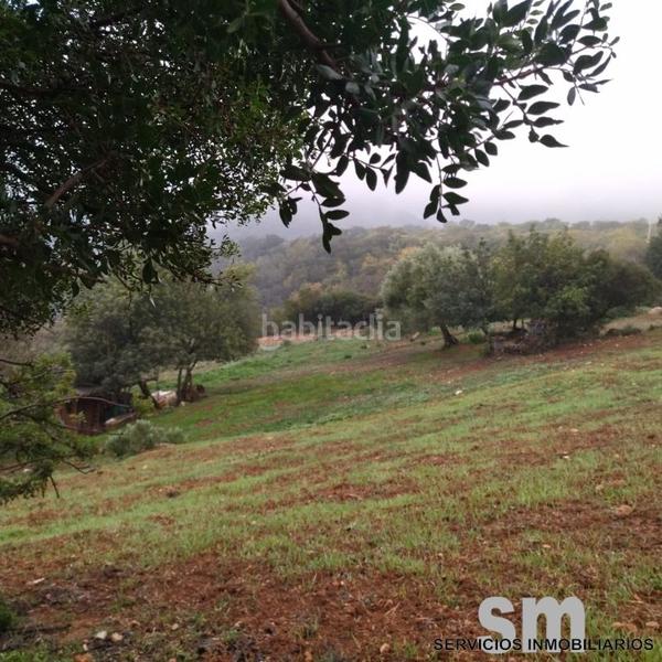 Foto 1bfe2aee-b3fe-4dd9-b302-32fccfcd4f80. Landgut in Benaocaz