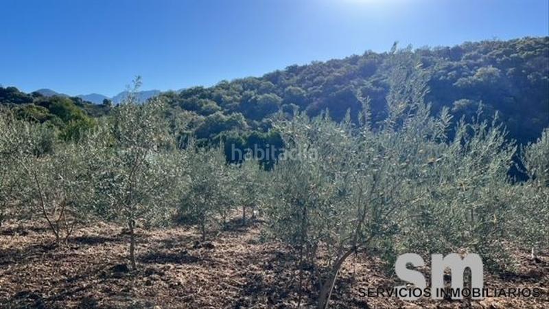 Foto 29badf10-52b2-4eb6-9640-1e755903d818. Landgut in Benaocaz