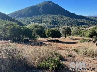Finca rústica a Benaocaz. Finca en venta en carretera ubriqueel bosque