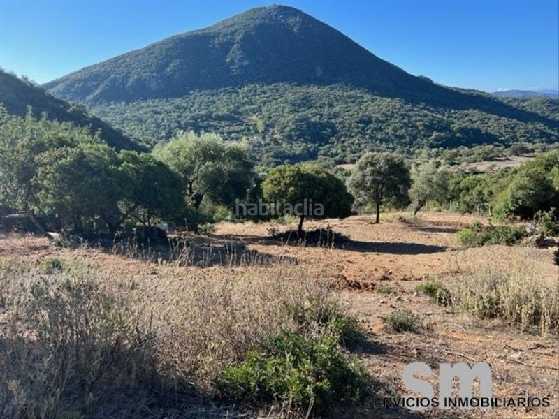 Foto 2cb77341-2e38-4008-9654-d1e0076f3fb8. Landgut in Benaocaz