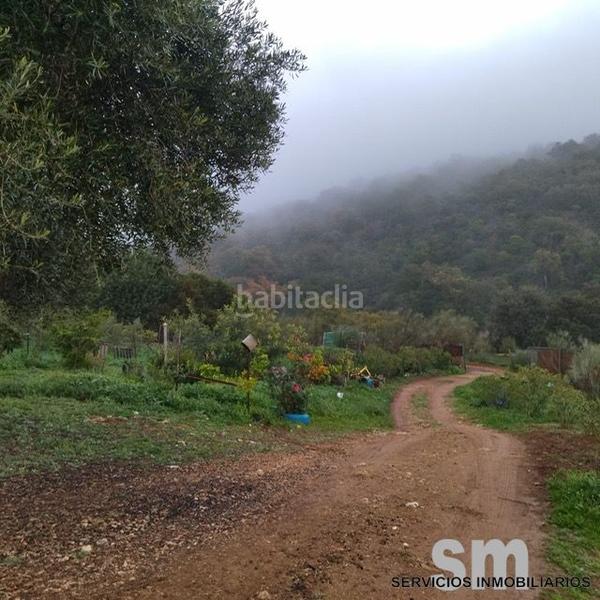 Foto 30aadd1a-776d-46a1-b19f-3e9889a7bcd9. Landgut in Benaocaz