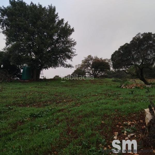 Foto 33f0abda-6375-4481-aa56-27c9ef8d4fd3. Landgut in Benaocaz