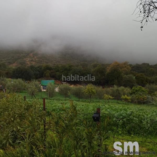 Foto 444939df-7c0f-4ae1-ae2f-eddc79c08f30. Landgut in Benaocaz