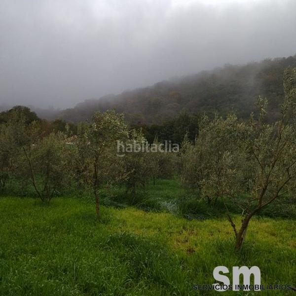 Foto 64508f81-b4a6-44ef-8cc4-b9dfef36ace2. Landgut in Benaocaz