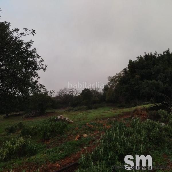 Foto 6cbd0146-f1e5-4f30-901a-b45709a9ad41. Landgut in Benaocaz