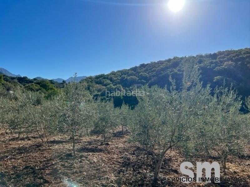 Foto 79195e35-d517-420e-9845-5f7b40d1a15b. Landgut in Benaocaz