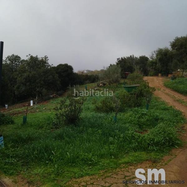 Foto 826a7d2a-2a3b-4cea-a84b-364fca908300. Landgut in Benaocaz