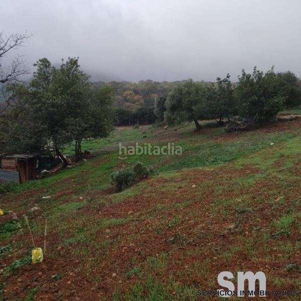 Foto aa0e5d87-aa6f-4692-88c1-614ad0c1e503. Landgut in Benaocaz