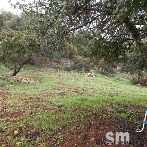 Foto b978f460-63dc-4cec-8032-8fdfe76153cb. Landgut in Benaocaz