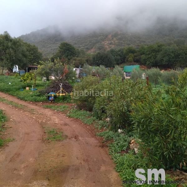 Foto c95c71d7-d6be-4daa-91c9-4ba970a2a73d. Landgut in Benaocaz