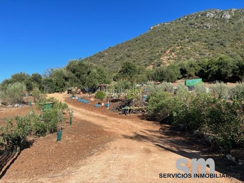 Foto d49cc435-0bb9-44c5-8692-72d734c1f2ba. Landgut in Benaocaz