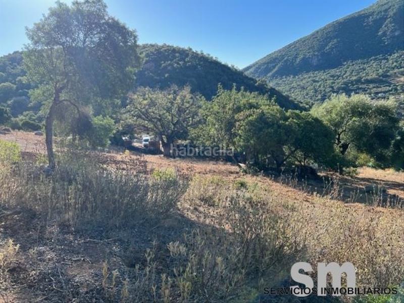 Foto fab8ad38-cf63-4aab-87b8-b11d3a9c6693. Landgut in Benaocaz