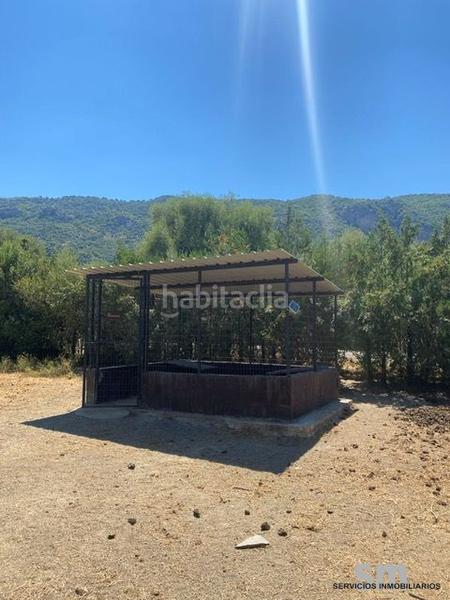 Foto c73c2516-cf50-4f14-b383-2474a641b97a. Fondo rustico in Bosque (El)