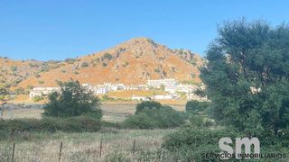 Finca rústica en Benaocaz. Naturaleza y tranquilidad en la sierra de cádiz