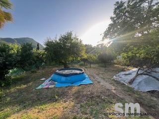 Finca rústica a Ubrique. Oportunidad única en plena naturaleza entre ubrique y el bosque!
