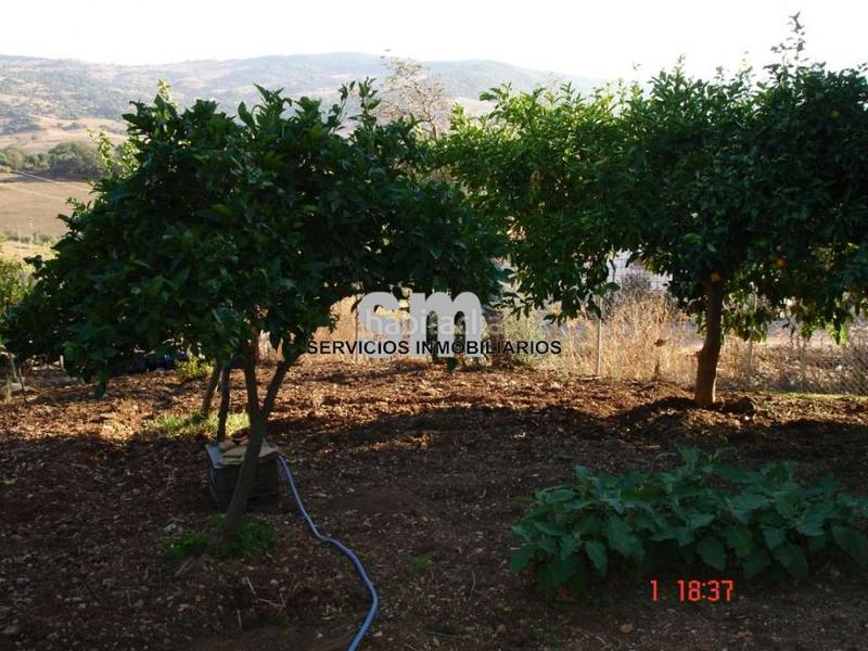 Foto 8ec6c431-99f0-4753-84a9-26b08274e4e8. Finca rústica a Ubrique