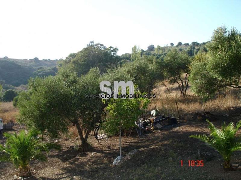 Foto 9a08efbf-0776-47d2-8e24-385dadf6093a. Finca rústica a Ubrique