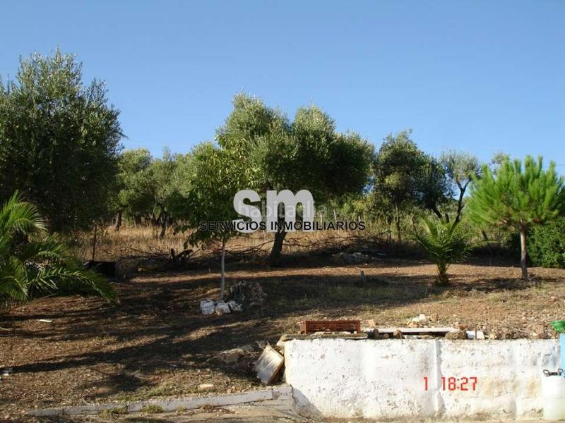Foto f0644a72-e4be-469e-b1c1-f63200d0b949. Finca rústica a Ubrique