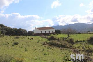 Rural plot in Cortes de la Frontera. Preciosa finca rústica en cortes de la frontera.