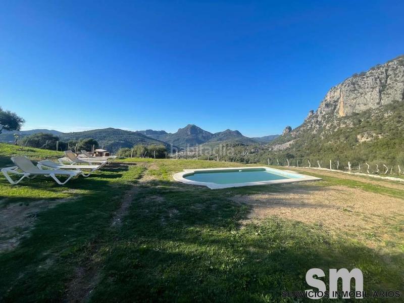 Foto 07919d18-132f-4ab1-9527-869ae9e25272. Rural plot in Ubrique