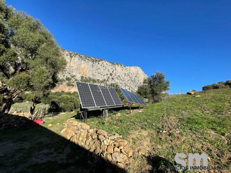 Foto 3966d3de-bda4-4621-b445-0a9875f34e3a. Rural plot in Ubrique