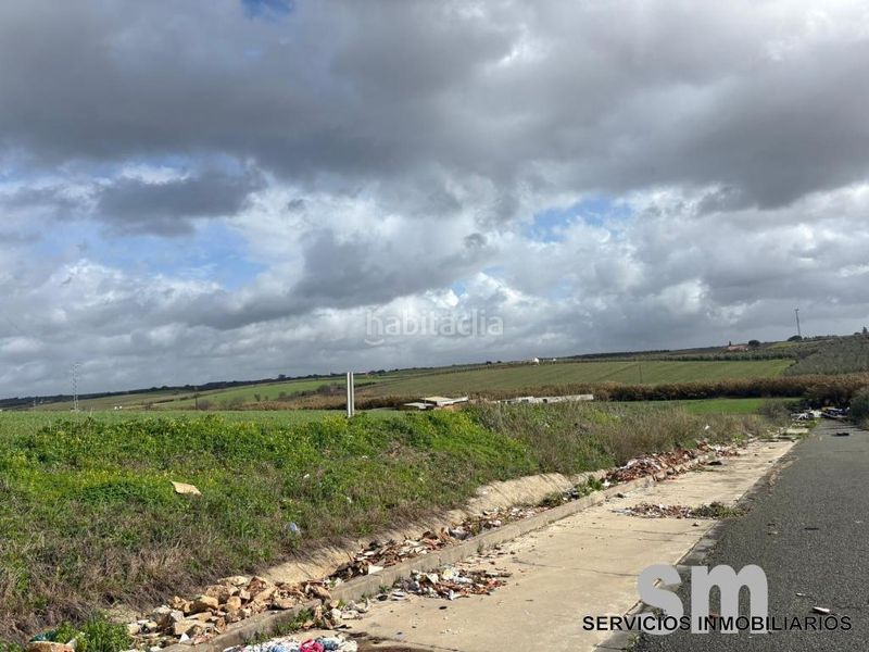 Foto bcc17050-5a90-4e38-9bfe-471c74d0d5ba. Terreno residencial venta de terreno urbano no consolidado en bollulos par del condado en Bollullos Par del Condado