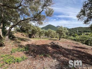 Finca rústica a Ubrique. Venta de terreno rústico en un entorno natural privilegiado