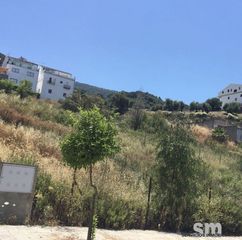 Terreny residencial a Bosque (El). Venta de solar urbano en el bosque