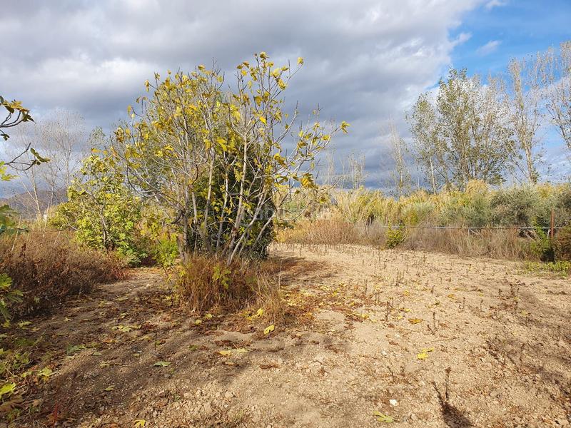 Foto 32b6b64d-08e8-4344-9186-9fe706973c51. Rural plot in Maracena