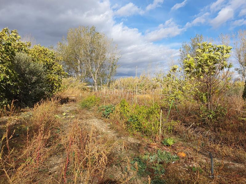 Foto 5e4a8259-85d2-4158-b2b0-51498b214aff. Rural plot in Maracena