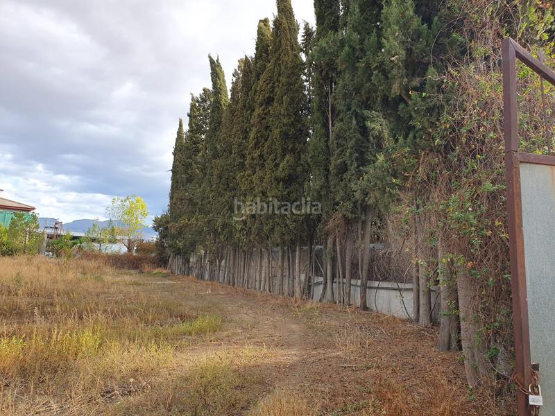 Foto d5a2c4f6-8893-4a4f-9d66-6977b85f0d04. Rural plot in Maracena