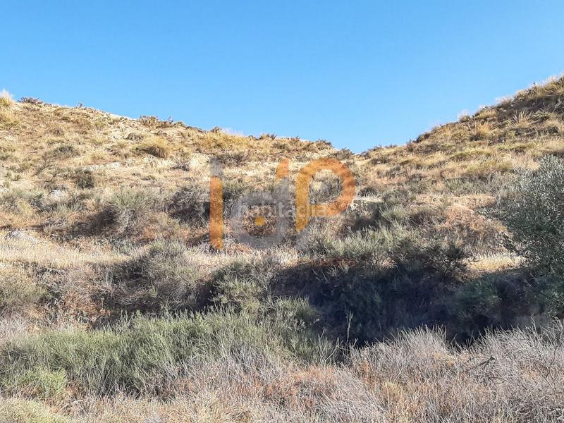 Foto f7ca10a4-64e0-48d2-ac6b-0c2bfb290df0. Terreno residencial parc. rúst. en venta . en Fines