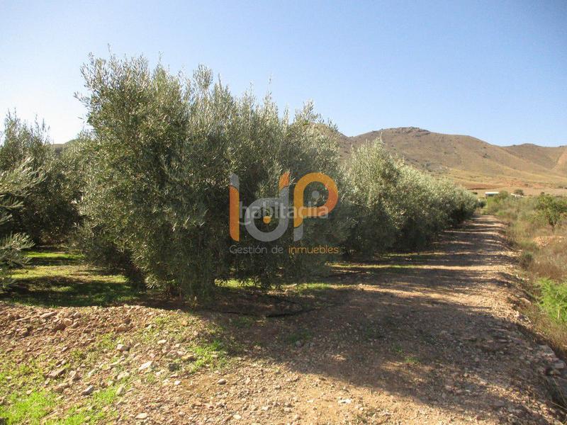 Foto 025f8d15-0203-4307-8295-700eecd4c473. Wohngrundstück in Huércal - Overa