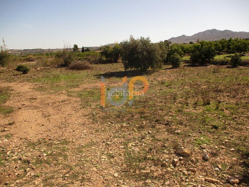 Foto 0b5634f9-57ff-4361-ac7c-0d87f9bd0355. Wohngrundstück in Huércal - Overa