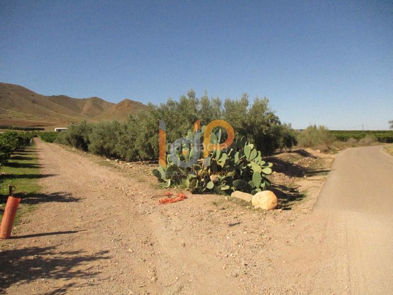 Foto 21daf947-19db-4665-96a8-92e0c0dcf6e2. Wohngrundstück in Huércal - Overa