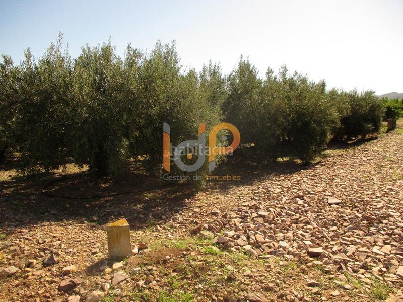 Foto 32dcb5de-dbf4-4b3f-b9cc-9235ee3a86b5. Wohngrundstück in Huércal - Overa