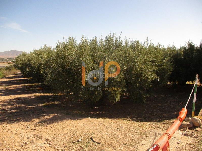 Foto 695065f0-fb62-4a9e-a9a7-85e9459429e8. Wohngrundstück in Huércal - Overa