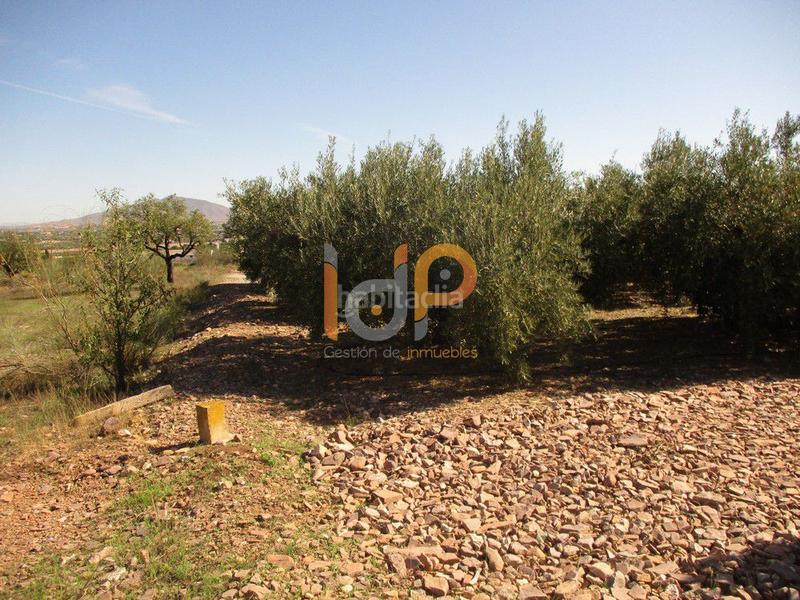 Foto 8c00fe1a-9eb0-4a2b-9a1e-2c57724f918c. Wohngrundstück in Huércal - Overa