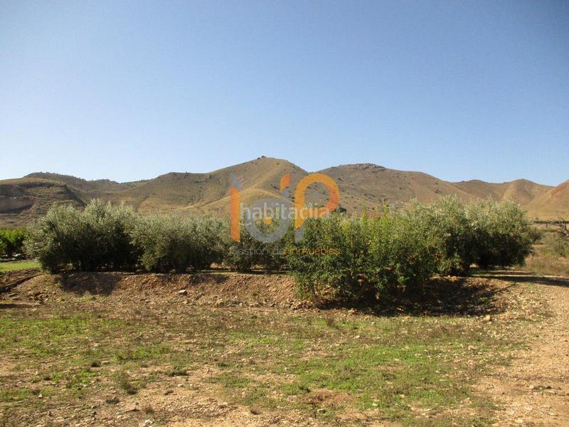 Foto 9a670543-fae6-4c03-b9e7-4a24b3558fc1. Wohngrundstück in Huércal - Overa