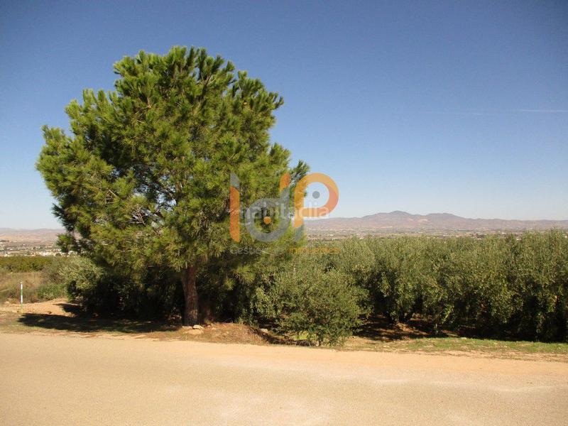 Foto a7a1f854-236a-4202-aaab-80ec6efdbe10. Wohngrundstück in Huércal - Overa