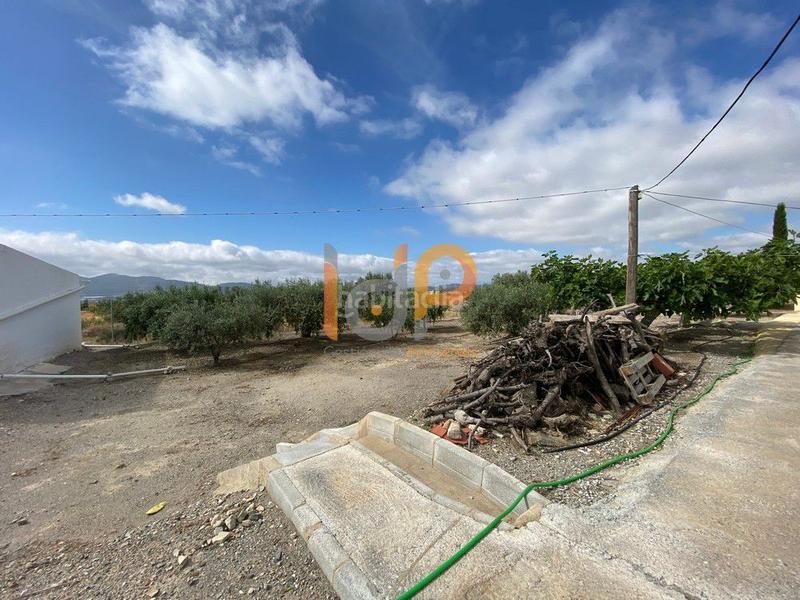 Foto 2b76a238-d10d-4c93-aa61-c6363eb24f13. Casa  en venta en urcal rambla grande, 3 dormitorios. en Huércal - Overa