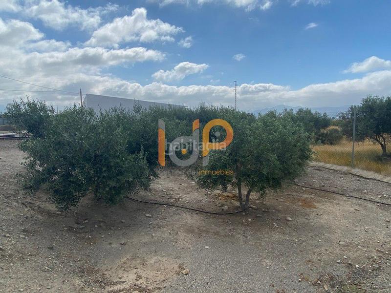 Foto 9a9403c3-2fd6-45e5-81a0-f231a248dda9. Casa  en venta en urcal rambla grande, 3 dormitorios. en Huércal - Overa