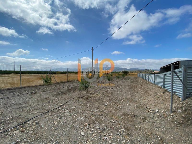 Foto d6fda4a2-1866-493e-9a06-44cf5c148be1. Casa  en venta en urcal rambla grande, 3 dormitorios. en Huércal - Overa