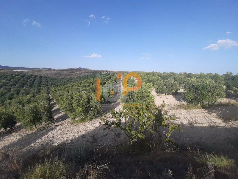 Foto 65be3018-cd6f-4e15-8265-ae71a71d3781. Casa a Sorbas