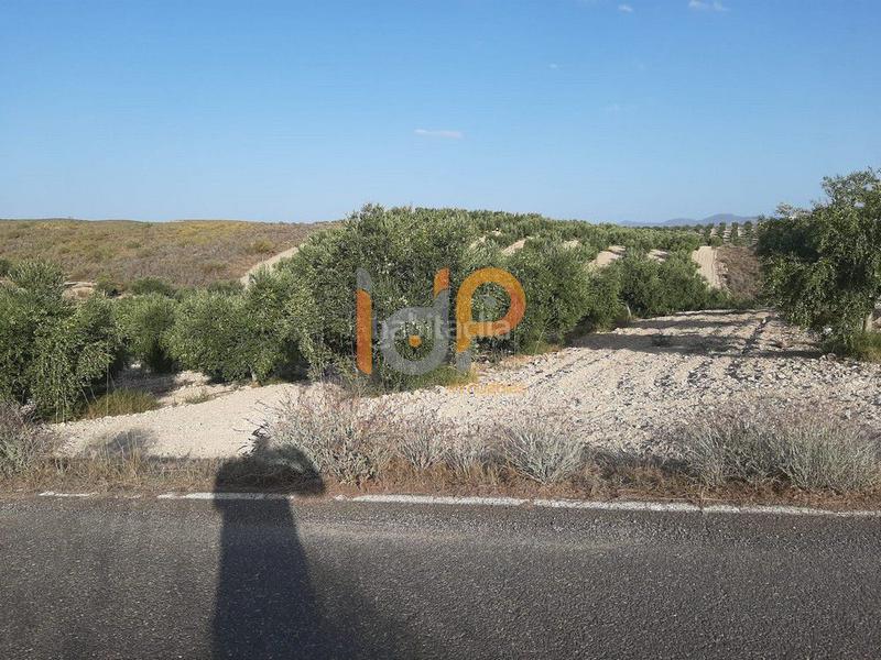 Foto 9e1122be-556f-4bef-9549-14da6d50cbcd. Casa a Sorbas