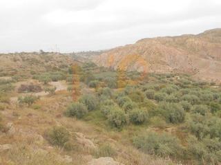 Terrain résidentiel  La loma. Parc. rúst. en venta en santa maría de nieva.