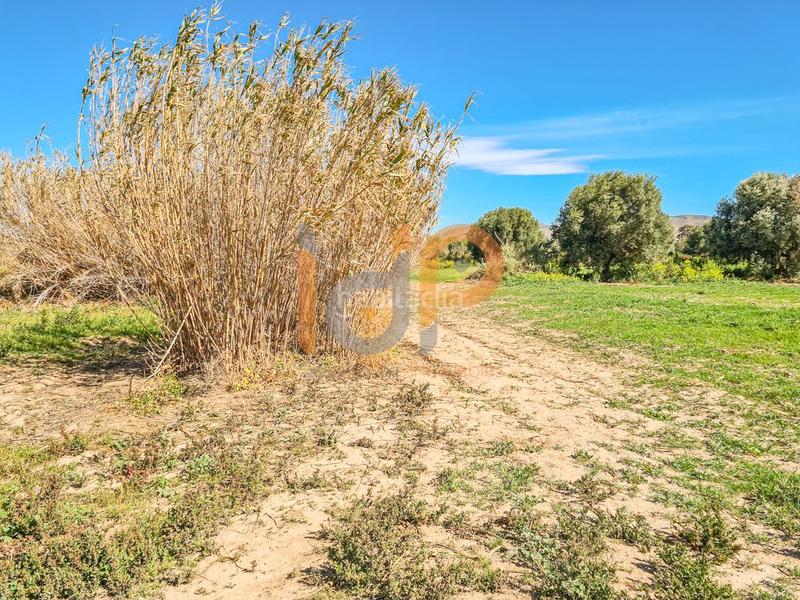 Foto 5ef8e763-0886-408f-a4d0-c6e414a94dbb. Wohngrundstück in Pulpí