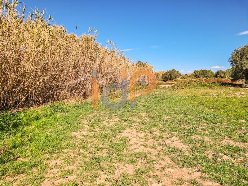 Foto a95d8968-dd4c-4d8e-96bd-0b9d6db9d458. Wohngrundstück in Pulpí